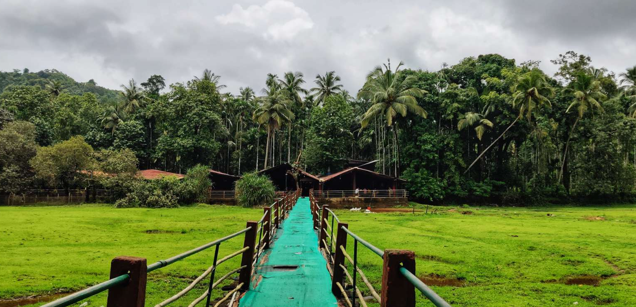 Tropical Spice Plantation, North Goa, Goa - Vushii.com Tropical Spice Plantation, North Goa, Goa - Vushii.com